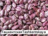 Фасоль очищеная, шлифованая высокого качества - photo 1