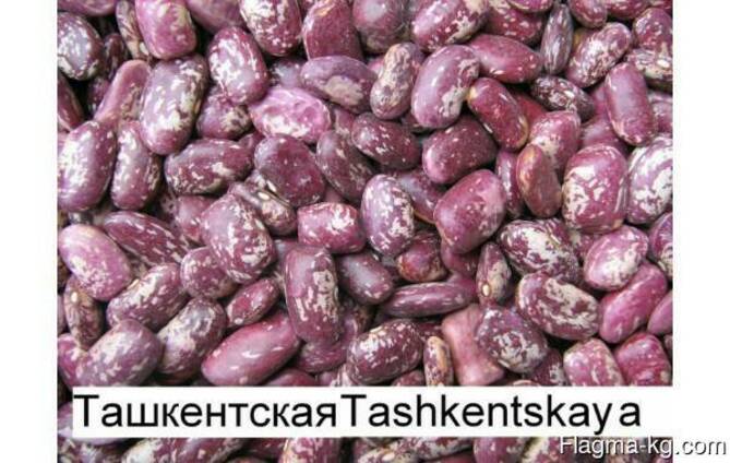 Фасоль очищеная, шлифованая высокого качества