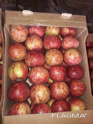 Алма Яблока