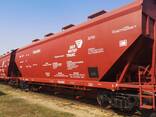 Бардык типтеги жүк ташуучу темир жол вагондорун сатуу | Продажа грузовых ж/д вагонов - фото 3