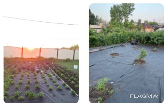 Спанбонд 60,80,100,120