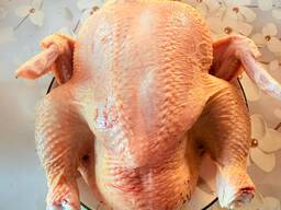 Бройлерные КУРЫ