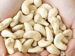 Cashew nut
