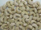 Cashew Nut Size W180 W240 W320 W450/ Certified WW320 Dried Cashew for Sale - фото 9