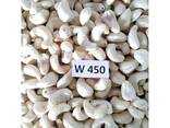 Cashew Nut Size W180 W240 W320 W450/ Certified WW320 Dried Cashew for Sale - фото 7