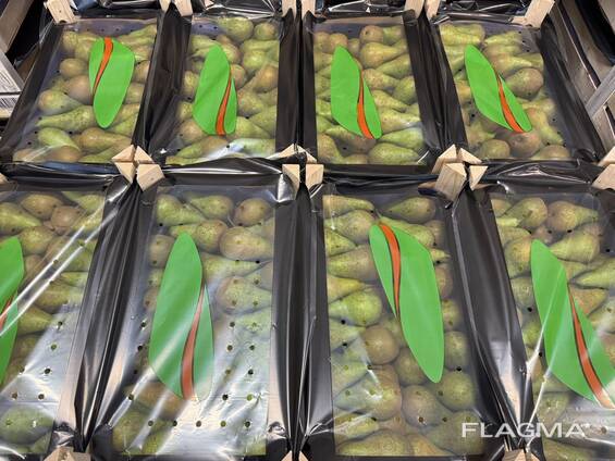 Алмурут «Conference»