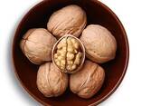 Factory supply walnut lowest price in shell walnuts kernels - фото 3