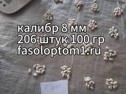 Фасоль оптом из Кыргызстана – от 20 тонн, самовывоз или доставка