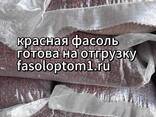 Фасоль оптом из Кыргызстана – от 20 тонн, самовывоз или доставка - фото 3