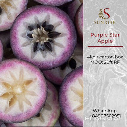 Фиолетовое звездчатое яблоко из Вьетнама