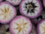 Фиолетовое звездчатое яблоко из Вьетнама - фото 3