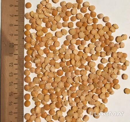 Горох колотый