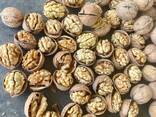 Грецкие орехи и сухофрукты - фото 4