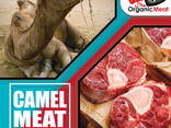 HALAL Camel Meat - photo 1