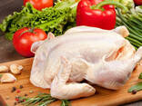 Halal Frozen Chicken, Thigh, Back quarter, Wings , Fillet IPBF , IQF, BF. - photo 2
