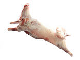 Halal Frozen Lamb - фото 3