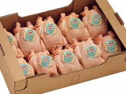Quality Halal Frozen Whole chicken