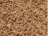 High-Quality Animal Feed - Nutrient-Rich, Custom Blends for Livestock, &amp; Poultry - фото 1