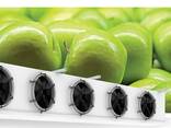 Холодильна камера для хранения фруктов - фруктохранилище