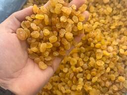 Изюм Голден Калифар (золотистый)