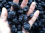 Компания Musaevs exim поставляет сухофрукты и орехи из Узбекистана