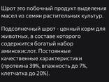 Кормовые добавки для КРС и птицы - фото 3