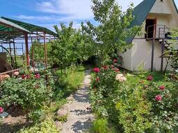 Коттеджный двор