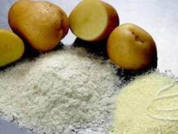 Беларусь Республикасынын жогорку сорттогу картошка крахмалы ГОСТ