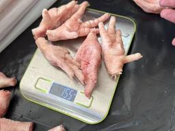 Куриные лапы плюсны с экспортам в китай chicken paws grade a 30