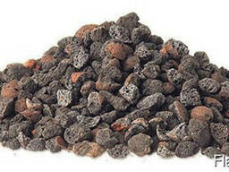 Лучшие микоризные препараты из Австрии!