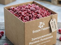 Малина ломаная (лом) шоковой заморозки