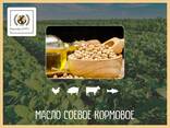 Масло соевое кормовое - photo 1