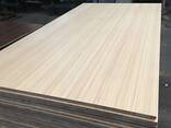 Плита с меламиновым покрытием (МДФ, ДСП, фанера). Melamine board. - фото 2