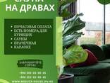 Medusa house ​Гостиница - фото 8