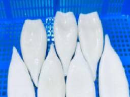 Мороженные морепродукты и рыба в Кыргызстан от завода из Китая