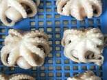 Мороженные морепродукты и рыба в Кыргызстан от завода из Китая - фото 6