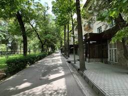 Недвижимость, 1 квартира