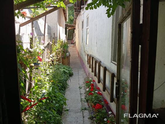 Недвижимость, дома