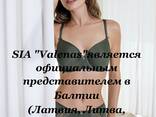 Нижнее бельё, купальники, шорты, футболки, термо бельё, носки (из Европы) - фото 5