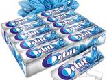 Orbit - фото 4