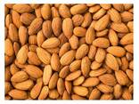 Organic Raw Almonds delicious and healthy Almonds Nuts - фото 2