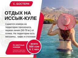 Отдых на Иссык Куле. 3х местные комнаты на территории пансионата в Бостери