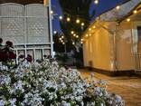 Отдых на Иссык Куле. Пансионат «Островок» Бостери - фото 12