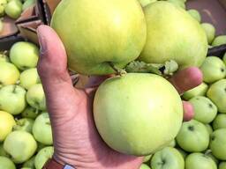 Овощи и фрукты оптом