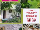 Пансионат "Ковчег Семьи" Иссык-Куль, г. Чолпон-Ата - фото 1