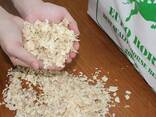 Pine Wood Shaving for Animal Bedding ready for sell - photo 2