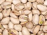 Pistachio nuts - фото 1