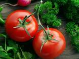 Помидоры - фото 1