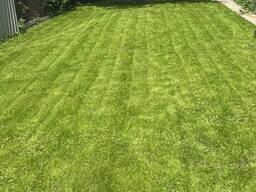 Посев газона