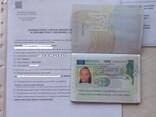 Приглашение на сезонные работы ZASWIADCZENIE Сезонное приглашение в Польшу засвядчение! - фото 3